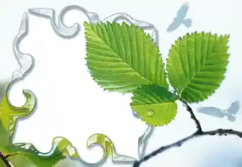 Foto Effekt från kategori Olika № 13921 Foto Effekt från kategori Olika № 13921