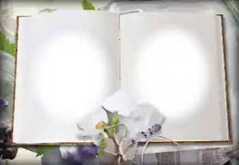 Foto Effekt från kategori Olika № 139914