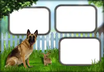 Foto Effekt från kategori Olika № 139921