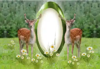 Foto Effekt från kategori Olika № 142259