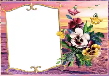 Foto Effekt från kategori Olika № 143511 Foto Effekt från kategori Olika № 143511