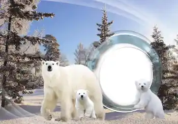 Foto Effekt från kategori Olika № 143683