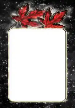 Foto Effekt från kategori Olika № 144867