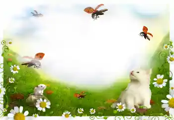 Foto Effekt från kategori Olika № 144908