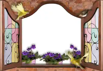 Foto Effekt från kategori Olika № 145186