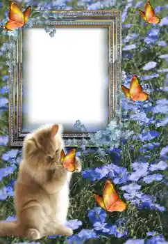 Foto Effekt från kategori Olika № 147609 Foto Effekt från kategori Olika № 147609