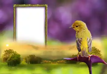 Foto Effekt från kategori Olika № 147660 Foto Effekt från kategori Olika № 147660