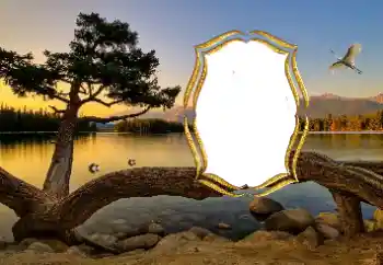 Foto Effekt från kategori Olika № 147663 Foto Effekt från kategori Olika № 147663