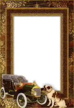 Foto Effekt från kategori Olika № 148971