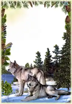 Foto Effekt från kategori Olika № 149260