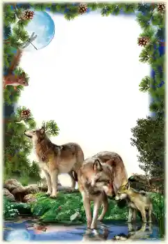 Foto Effekt från kategori Olika № 149261