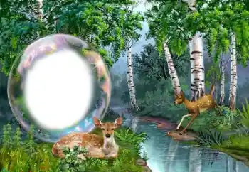 Foto Effekt från kategori Olika № 149352 Foto Effekt från kategori Olika № 149352