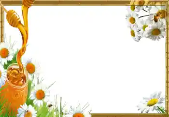 Foto Effekt från kategori Olika № 14966