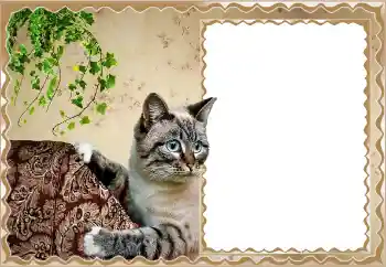 Foto Effekt från kategori Olika № 150513