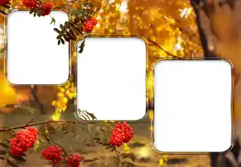 Foto Effekt från kategori Olika № 150527