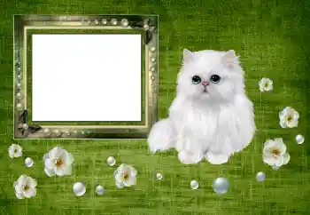 Foto Effekt från kategori Olika № 150550