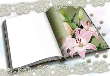 Foto Effekt från kategori Olika № 150570