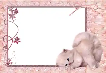 Foto Effekt från kategori Olika № 150650