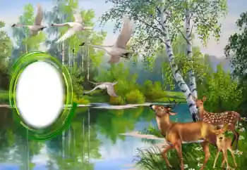 Foto Effekt från kategori Olika № 151671