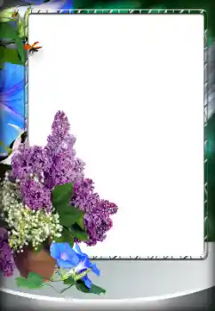 Foto Effekt från kategori Olika № 151796