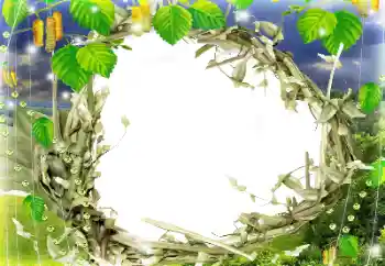 Foto Effekt från kategori Olika № 152947