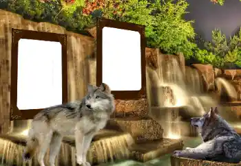 Foto Effekt från kategori Olika № 153016