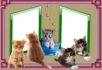 Foto Effekt från kategori Olika № 153045 Foto Effekt från kategori Olika № 153045