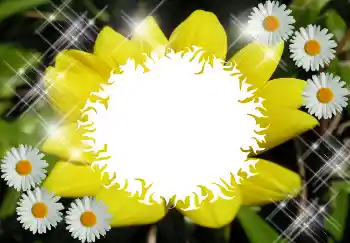 Foto Effekt från kategori Olika № 1530