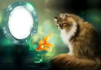 Foto Effekt från kategori Olika № 154509 Foto Effekt från kategori Olika № 154509