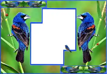 Foto Effekt från kategori Olika № 154512 Foto Effekt från kategori Olika № 154512