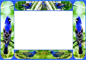 Foto Effekt från kategori Olika № 154514 Foto Effekt från kategori Olika № 154514