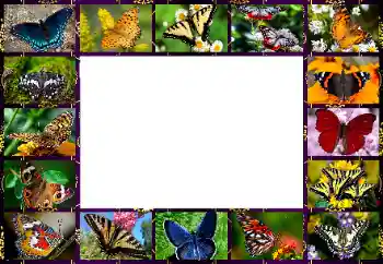 Foto Effekt från kategori Olika № 154545