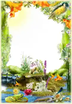 Foto Effekt från kategori Olika № 154548