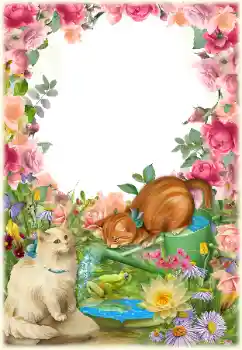 Foto Effekt från kategori Olika № 154549