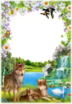 Foto Effekt från kategori Olika № 154550