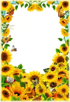 Foto Effekt från kategori Olika № 154553