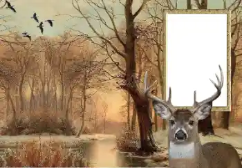 Foto Effekt från kategori Olika № 154607 Foto Effekt från kategori Olika № 154607