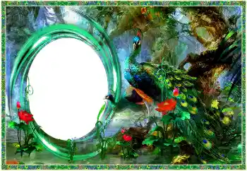 Foto Effekt från kategori Olika № 154704 Foto Effekt från kategori Olika № 154704