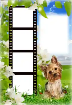 Foto Effekt från kategori Olika № 154718 Foto Effekt från kategori Olika № 154718