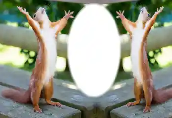 Foto Effekt från kategori Olika № 154733 Foto Effekt från kategori Olika № 154733