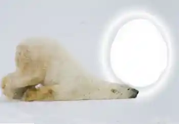 Foto Effekt från kategori Olika № 154735 Foto Effekt från kategori Olika № 154735