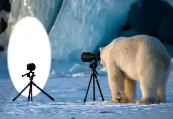 Foto Effekt från kategori Olika № 154736 Foto Effekt från kategori Olika № 154736