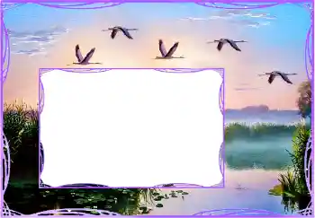 Foto Effekt från kategori Olika № 154759