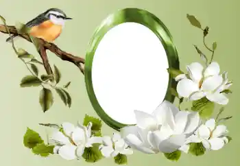 Foto Effekt från kategori Olika № 155868 Foto Effekt från kategori Olika № 155868