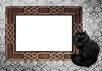 Foto Effekt från kategori Olika № 155997 Foto Effekt från kategori Olika № 155997