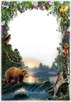 Foto Effekt från kategori Olika № 157061