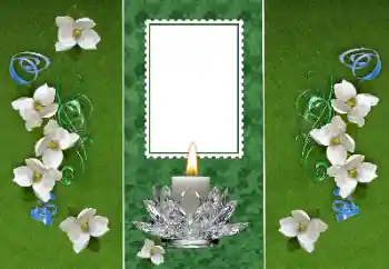 Foto Effekt från kategori Olika № 157116