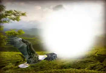 Foto Effekt från kategori Olika № 158416 Foto Effekt från kategori Olika № 158416