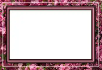 Foto Effekt från kategori Olika № 158431