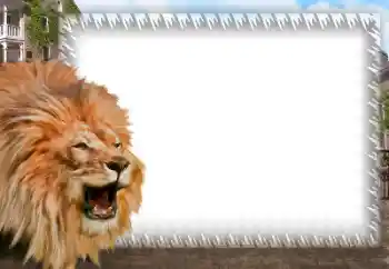 Foto Effekt från kategori Olika № 158462